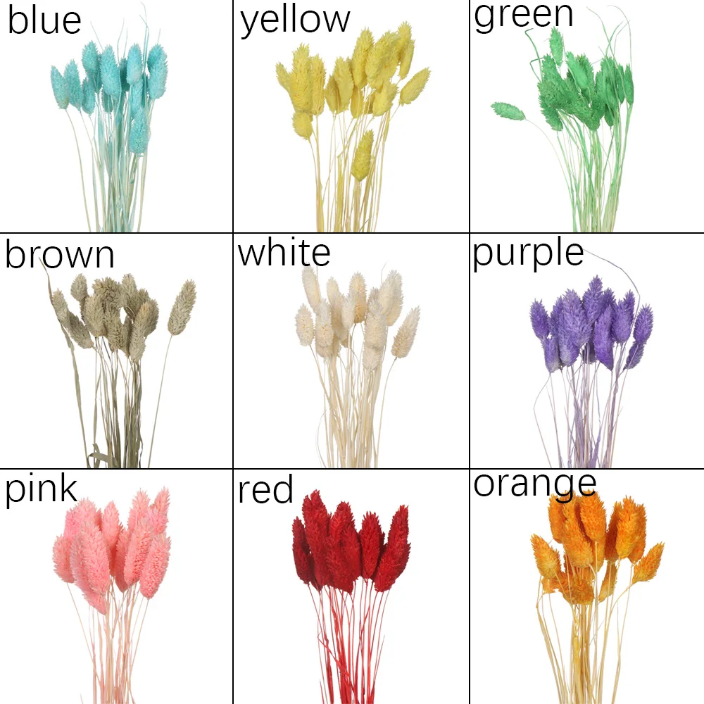 Лидер продаж 20 шт./лот Натуральные сушеные цветы с кроличьим хвостом букет