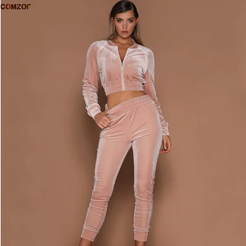 

INS Hot Sale Women Velvet 2 Piece Set Zipper Long Sleeve Crop Top+Pants Vintage Short Hoodie Tracksuit Clothing Velour Suits