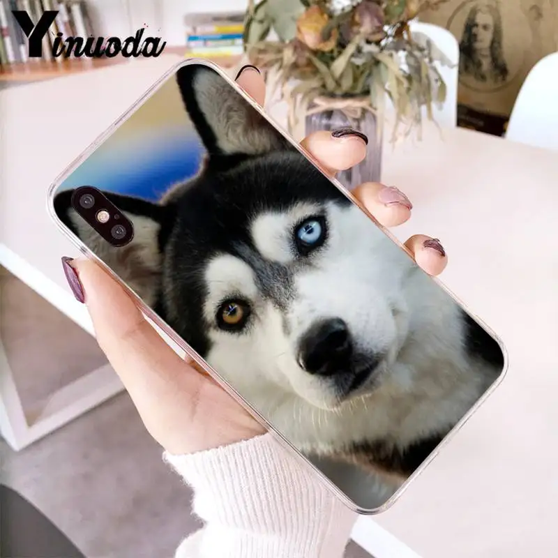 

Yinuoda Animal Husky puppy Phone Case fundas coque for iPhone 12 8 7 6 X XS MAX 6S Plus XR 11 12 11pro promax 5 5S SE cover