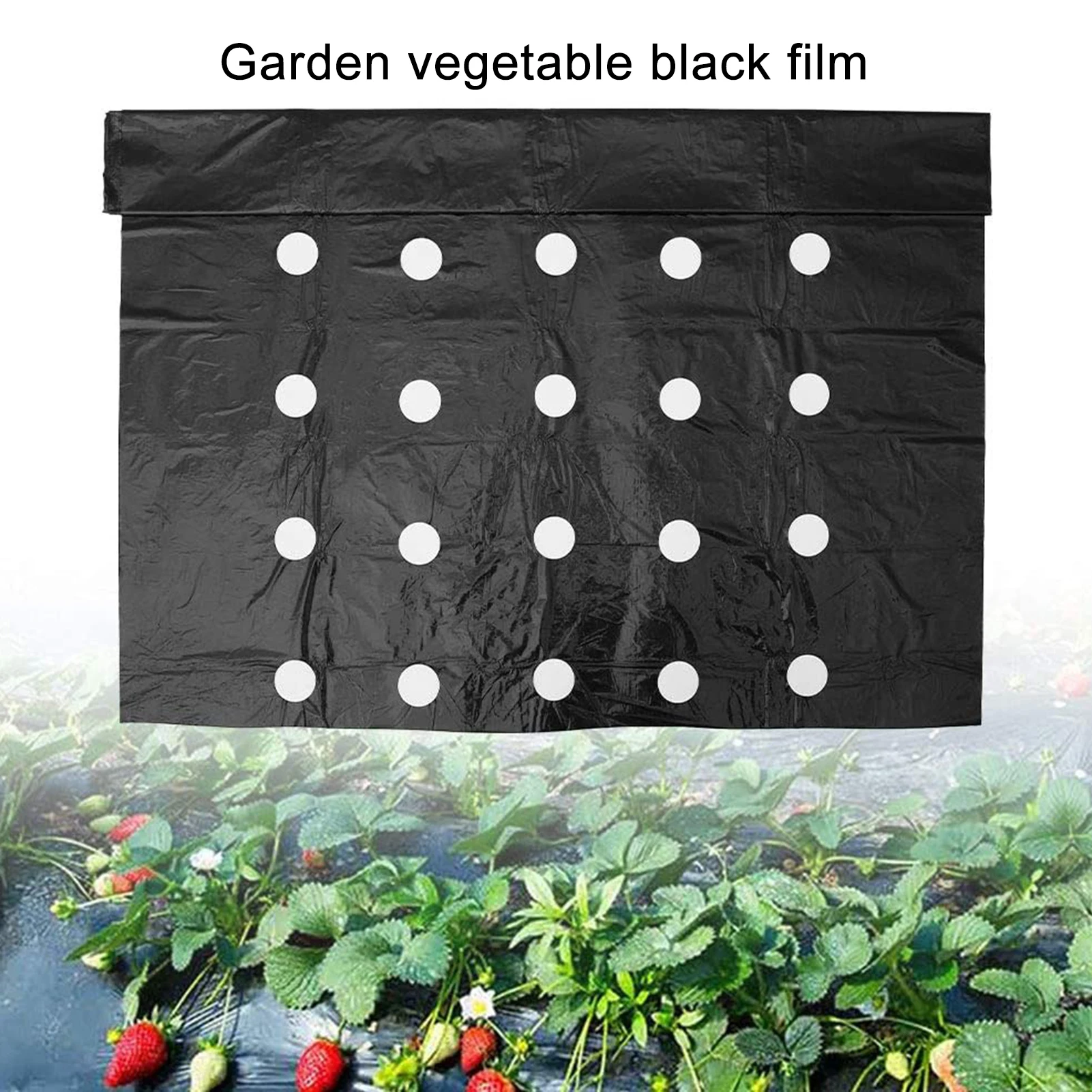 

95x100cm 5 Holes Black Garden Film Agricultural Plants Grow Film Protection Cover Greenhouse Perforated PE Mulch Film