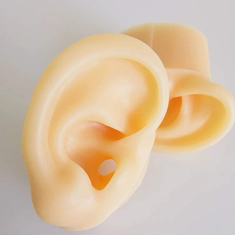 2 pcs silicone ear model ASMR sleep aid video live props soft | Medical Science