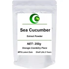 Экстракт морского огурца в порошке, добавка для морского огурца, противоопухолевая, против усталости, предотвращает высокое артериальное давление