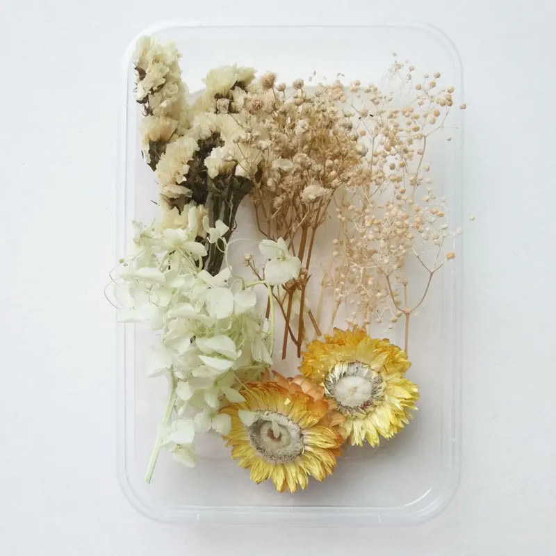 

Home DecorationDIY Material Pack Preserved Flower Boxed Mixed Dried Flowers