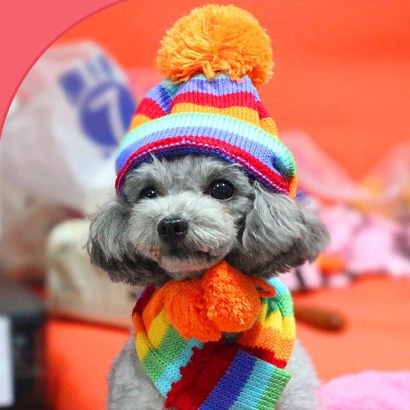 1 комплект Зимний собачий шарф для питомца/шапка/Чехлы ног вязаные