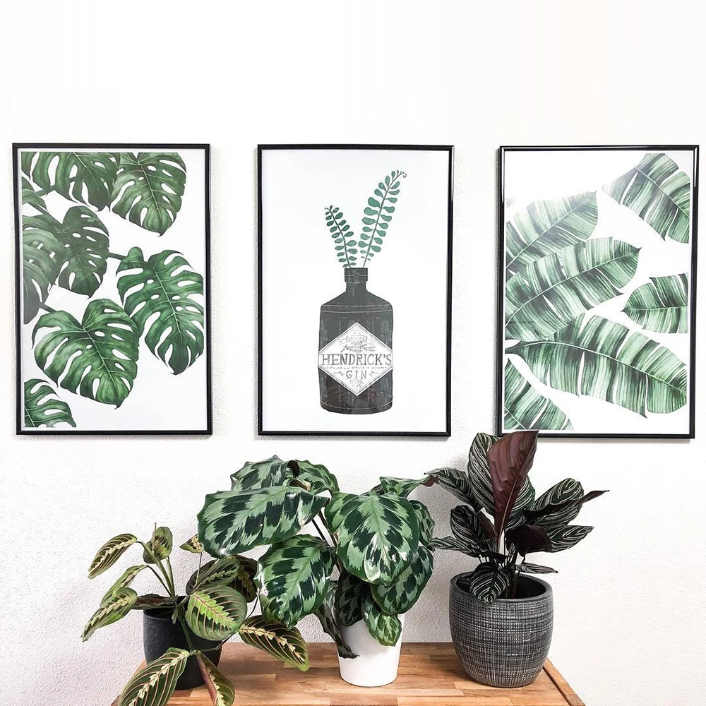 Настенная Картина на холсте с изображением листьев зеленых растений