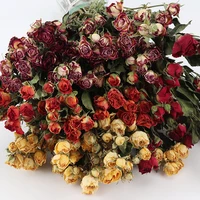 100g40 50cm preserved rose flower dried nature fresh eternell floral wedding favor home valentinesday gift decor christmas