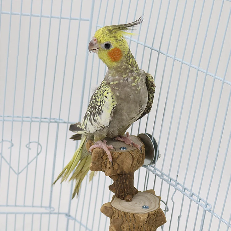 

Parrot Springboard Climbing Ladder Hamster Wooden Pier Ladder Pet Toy Bird Standing Stairs Bird Climbing Toy For Bird Reasonable