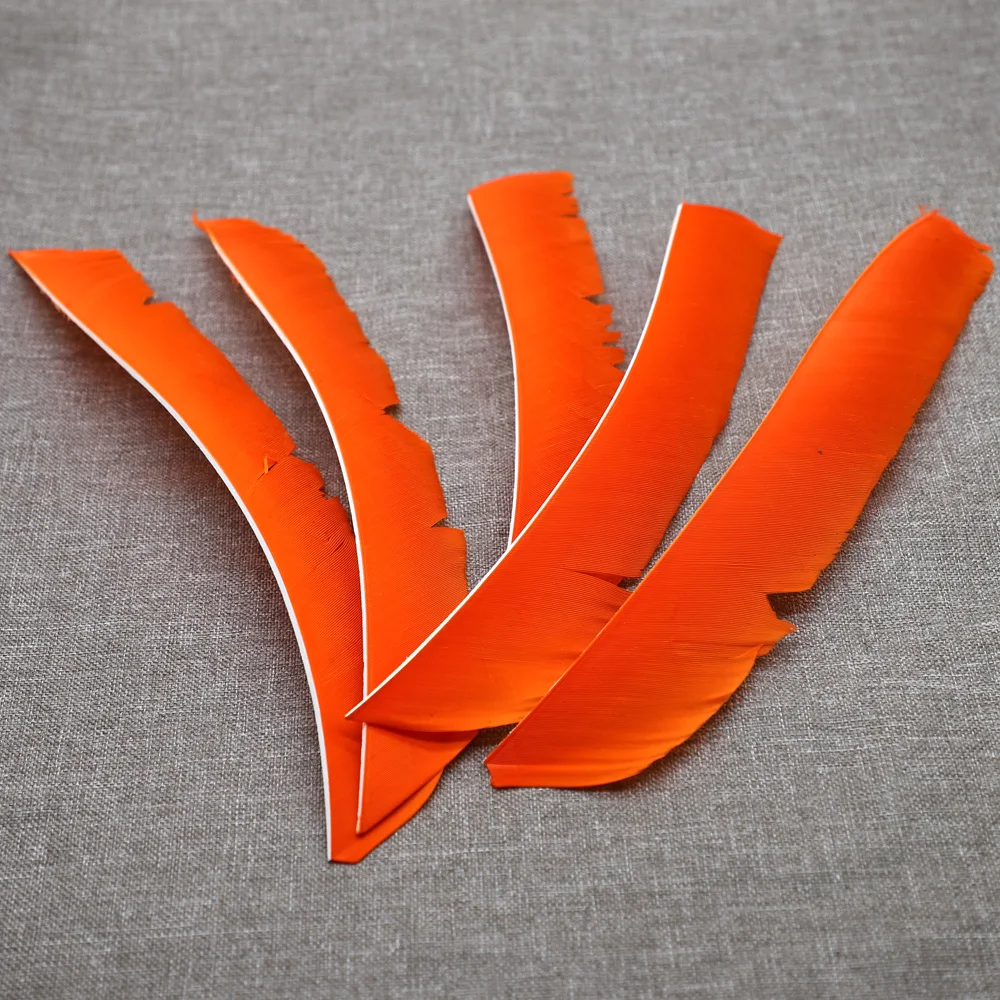 50 шт. полной длины Настоящее Турция перо для установки оперения на стрелки перьев