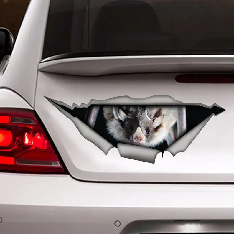 

2021 Sticker, Bat car sticker , bat decal, animal sticker