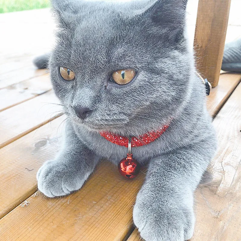 Ошейник для кошек и собак Ювелирное Украшение яркий ошейник с колокольчиком