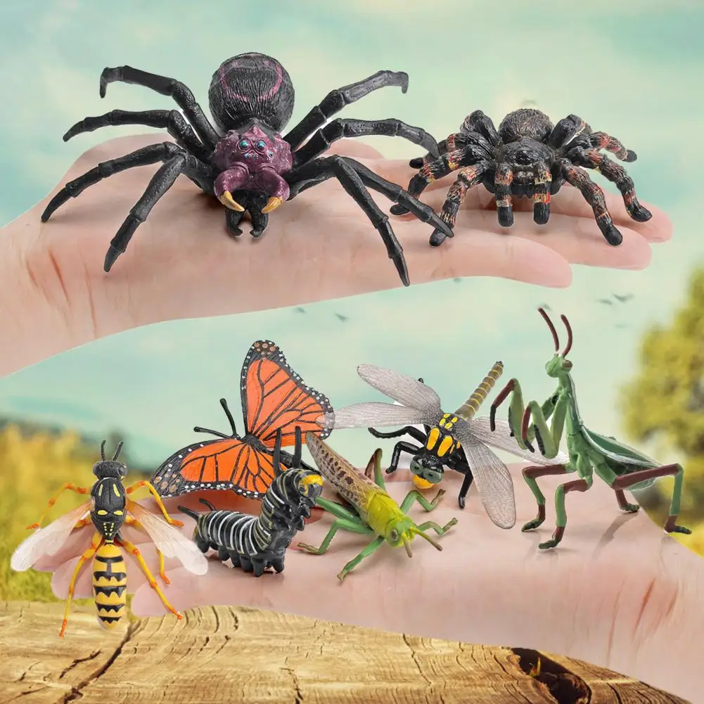 Яркое выражение полезное отличное исполнение Кузнечик Стрекоза гусеницы