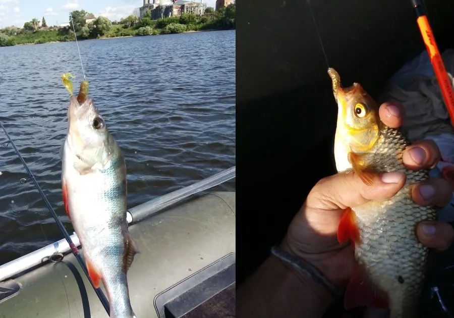 100 шт. мягкий пластик искусственный isca pesca круглый хвост Белковая приманка личинка рыболовный червь moggot приманка личинка приманки 4 см