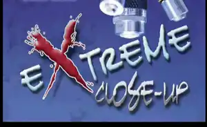 Экстрим крупным планом от David Acer - Magic Tricks