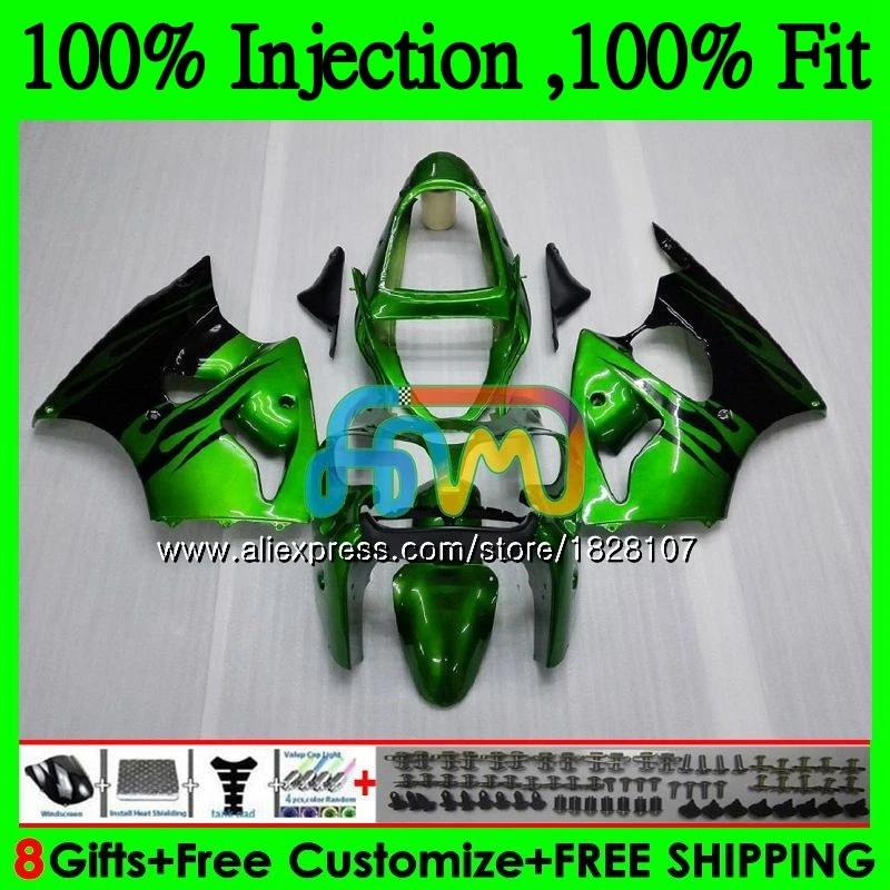 

OEM For KAWASAKI 600CC ZZR600 ZX600CC Bodywork 14BS.66 ZZR-600 ZZR Green&flames 600 05 06 07 08 2005 2006 2007 2008 Fairing kit