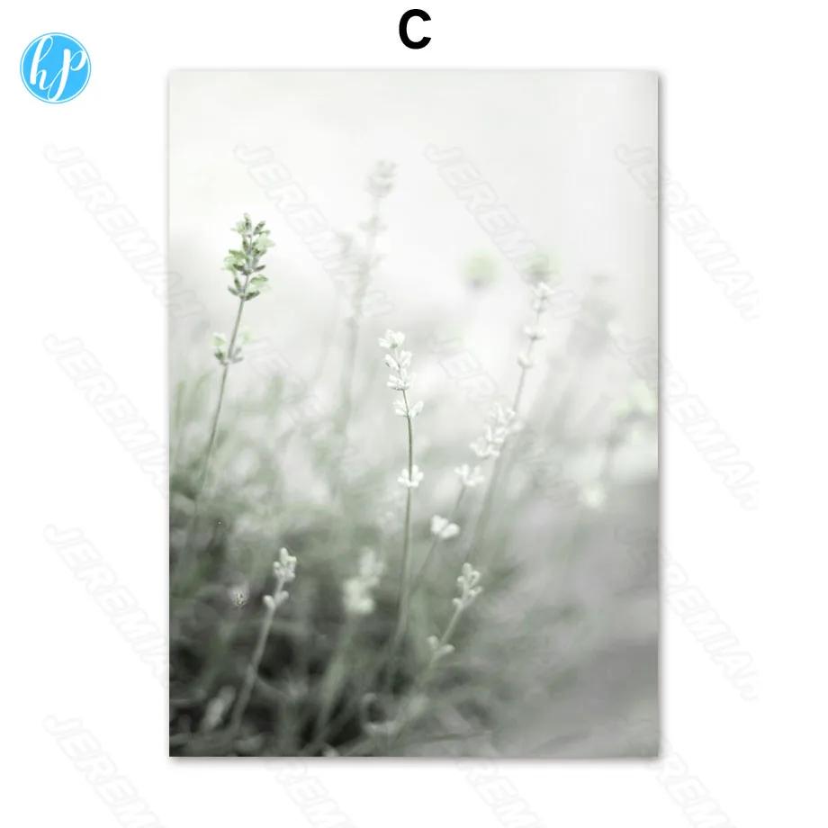 

Peacock Crane Animal Poster Nordic Style Waterproof Ink Painting Print Art Painting Modern Bedroom Decoration