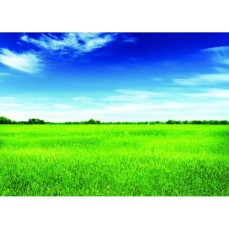 Рисунок 2 - Природный пейзаж фотография Фон