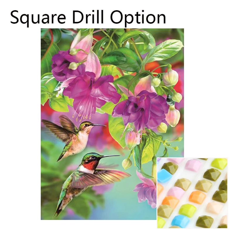 Square Drill Option 5d алмазная живопись полная дрель Колибри Цветы Стразы Алмазная вышивка мозаика подарок наклейка на стену домашний декор - Цвет: Square Drill Option