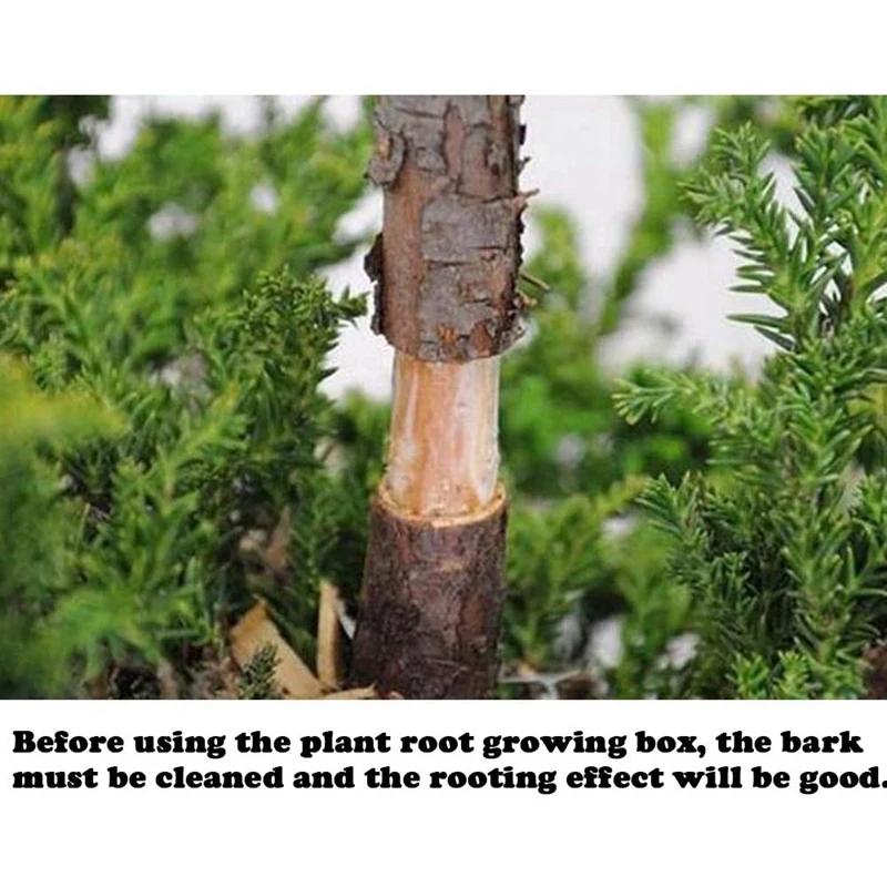 

Plant Root Growing Box,Can Be Used for Plant Propagation,6Pcs Large Reusable Plant Root Growing Ball 12cm & 5cm