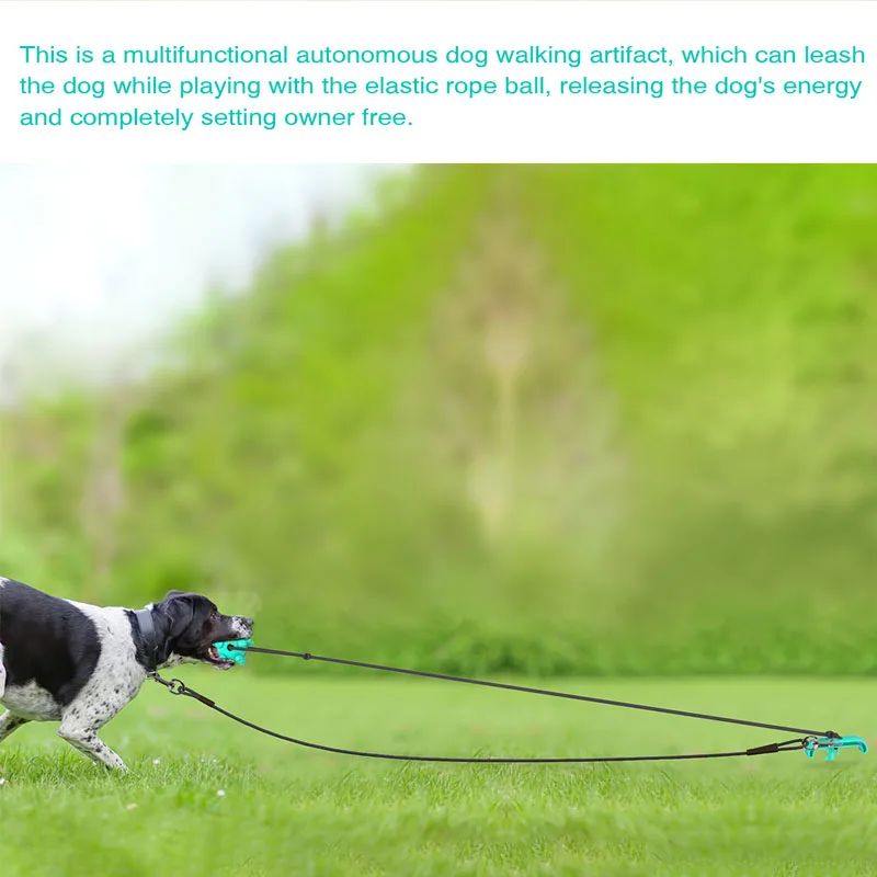 Портативная эластичная веревка для домашних питомцев 2 в 1 молярный поводок