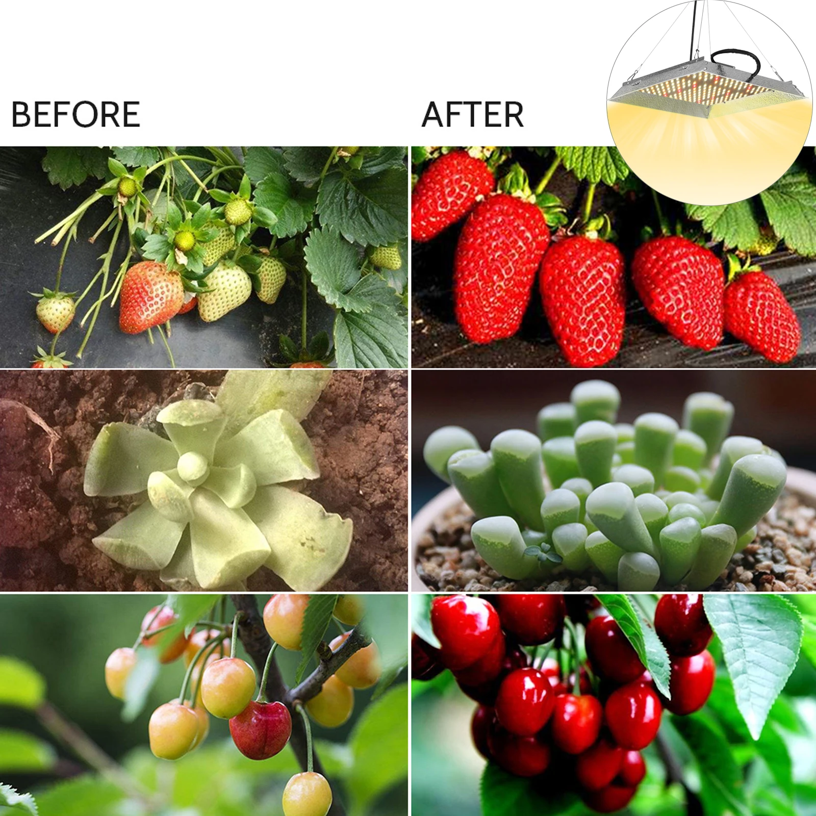 Goede 1000W Leds Groeien Licht Met Hangende Kettingen Touw Volledige Spectrum Groente En Bloem Planten Groeien Lamp Voor Hydrocultuur Kas