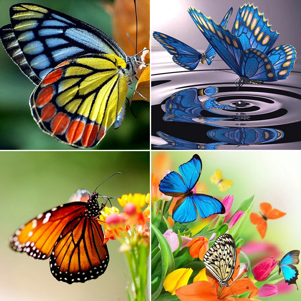 

5D DIY Diamond Painting Butterfly Cross Stitch Kit Full Drill Embroidery Animals Mosaic Art Picture of Rhinestones Decor Sale