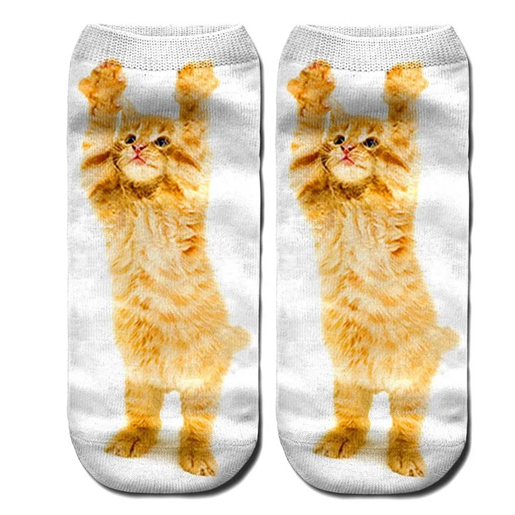 5 пар модные зимние носки для женщин 3D новинка безумный забавный кот короткие