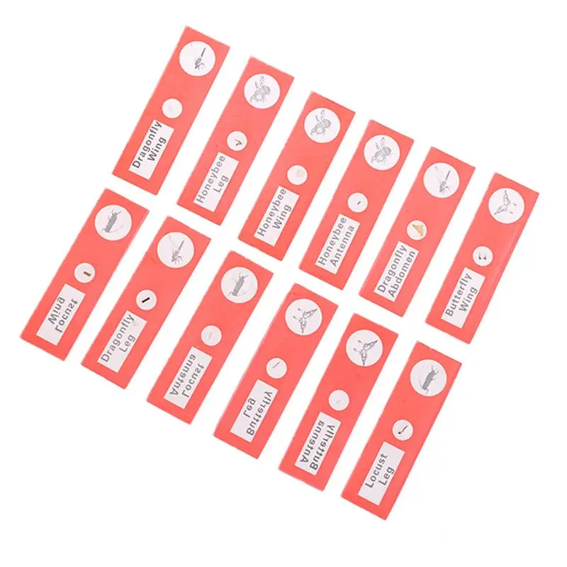 48pcs/set Kids Plastic Prepared Microscope Slides Biological Specimen Animals Plants Insects Flowers Sample A5YD | Инструменты