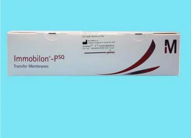 

Nitrocellulose membrane (NC membrane)