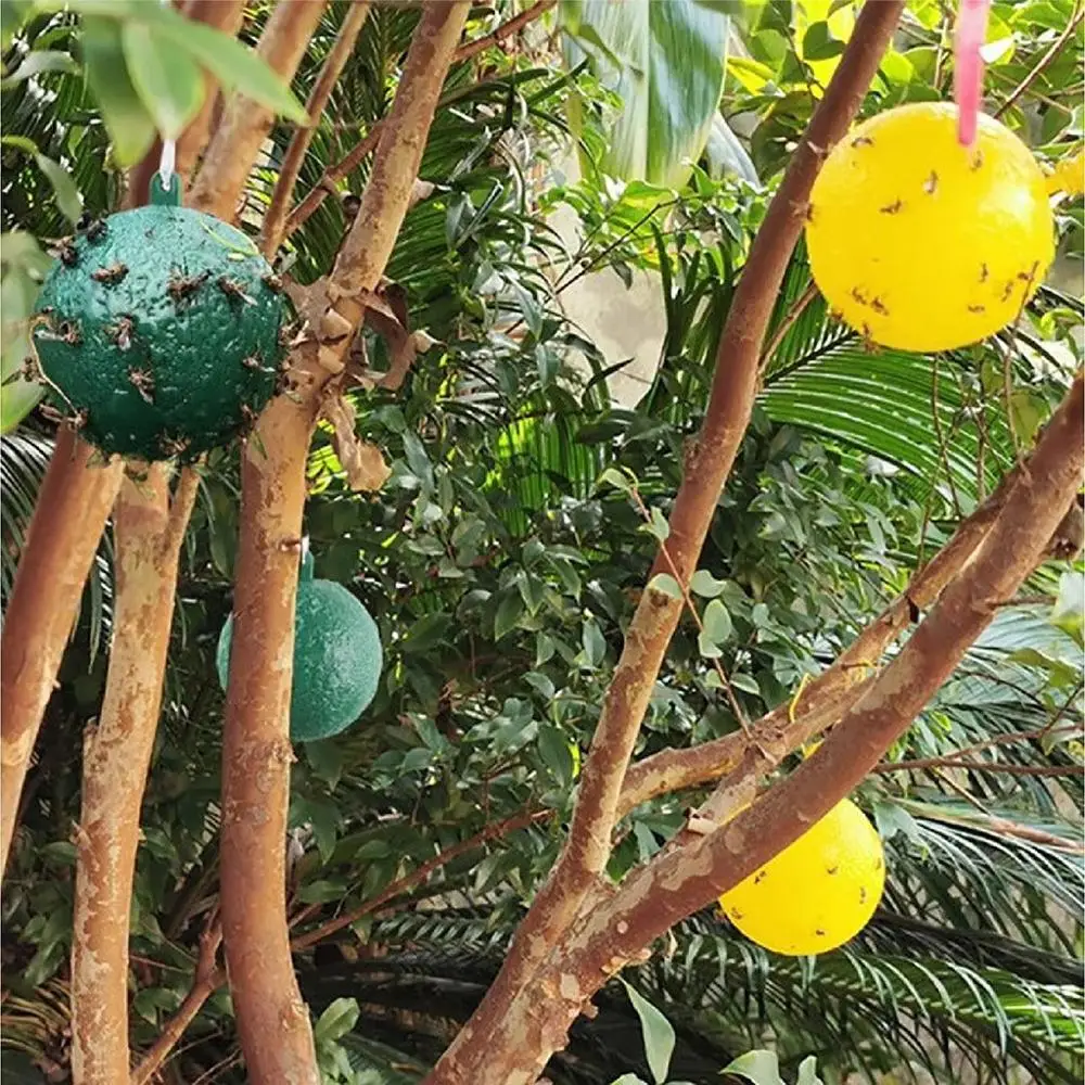 Эффективная ловушка для фруктов мух подвесная Ловец липкая одноразовая сада