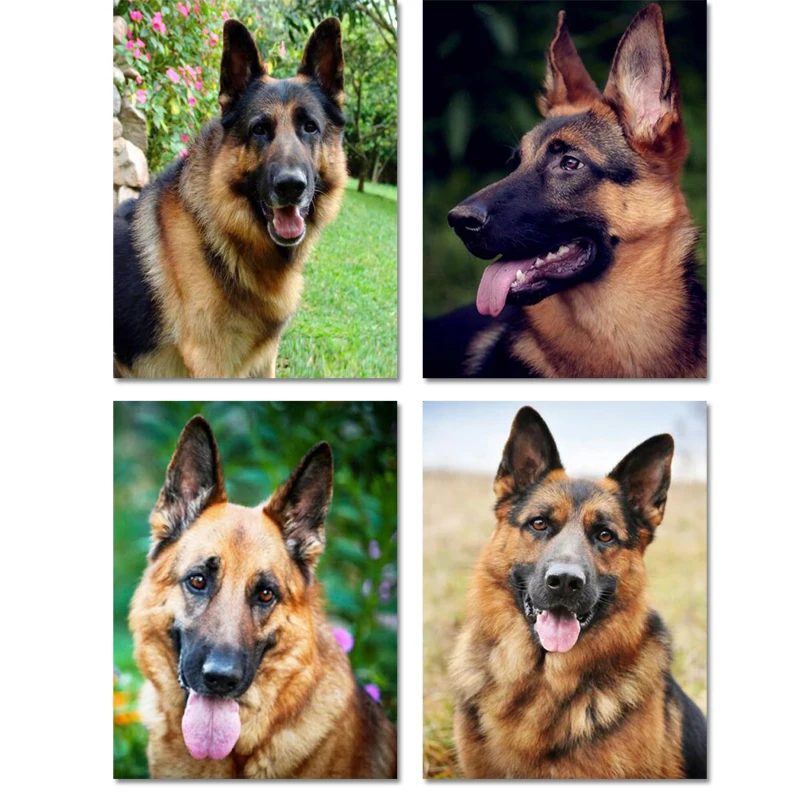 Немецкая овчарка алмазная краска полностью круглая Алмазная вышивка собаки для