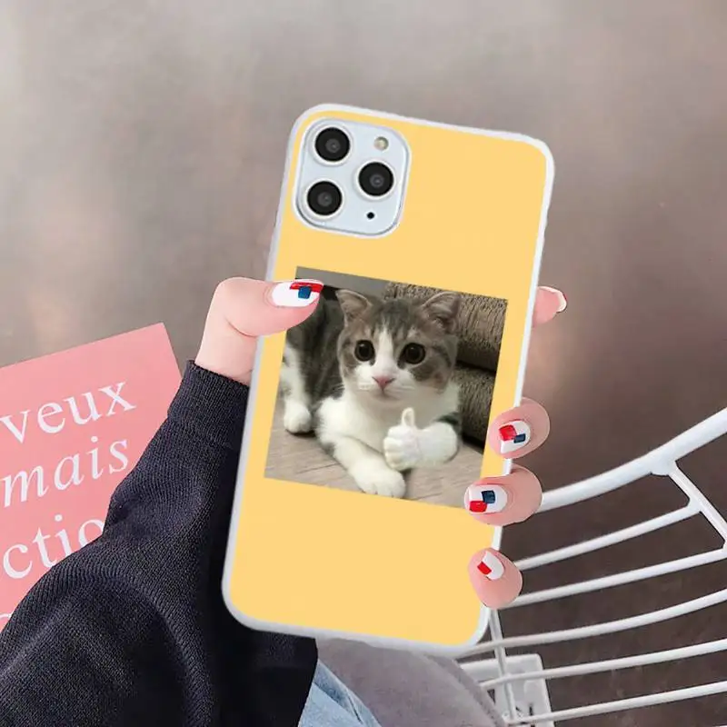 

Cute Animal Cat Phone Case White Candy Color for iPhone 6 7 8 11 12 s mini pro X XS XR MAX Plus