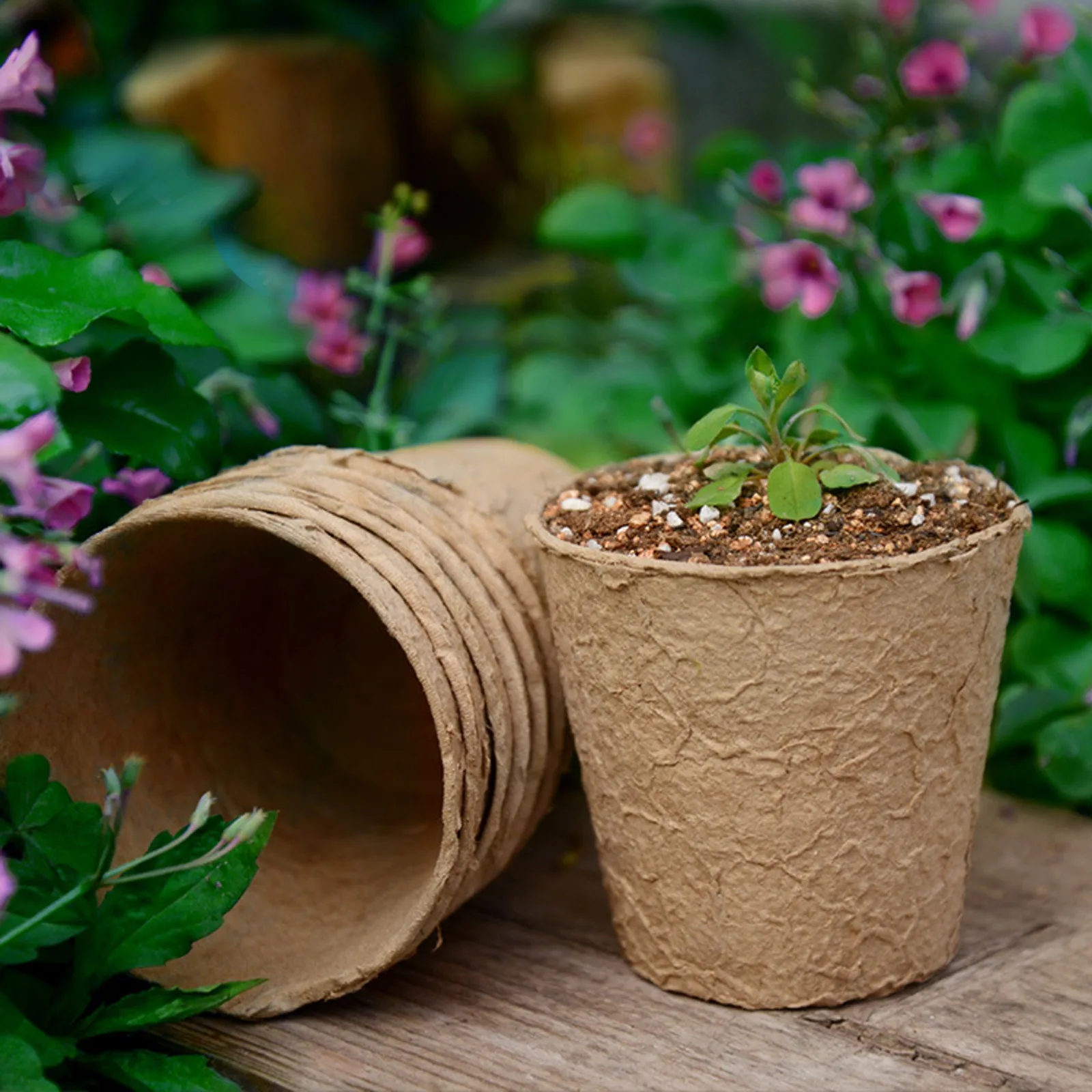 Garden Planting Germination Pots Harmless Degradable Recyclable Round Succulent 25pcs Pulp Seedling Bowl | Дом и сад