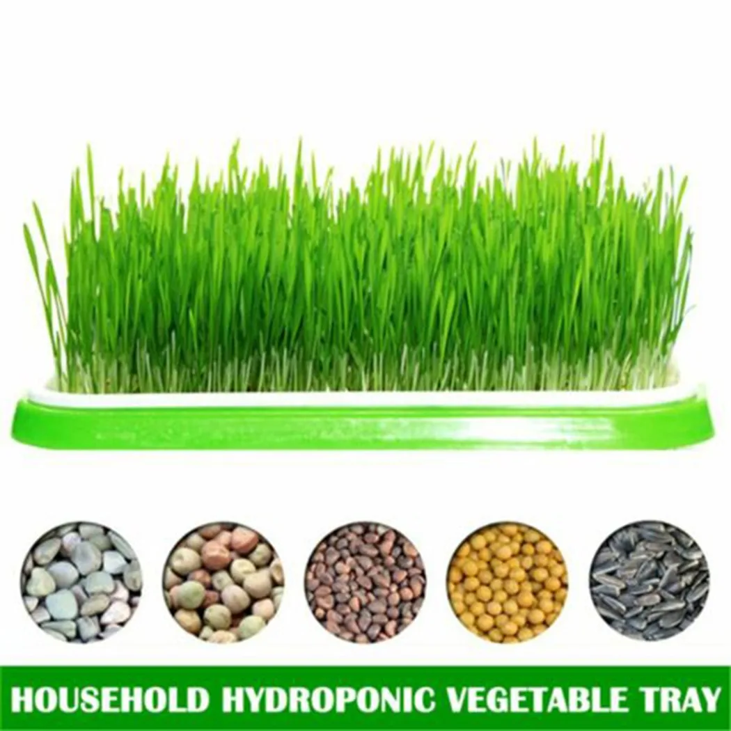 

Sprouter Tray Soil-Free Big Capacity Germination Grass Box Grow Flower Basket Plant Home Garden Nursery Pots