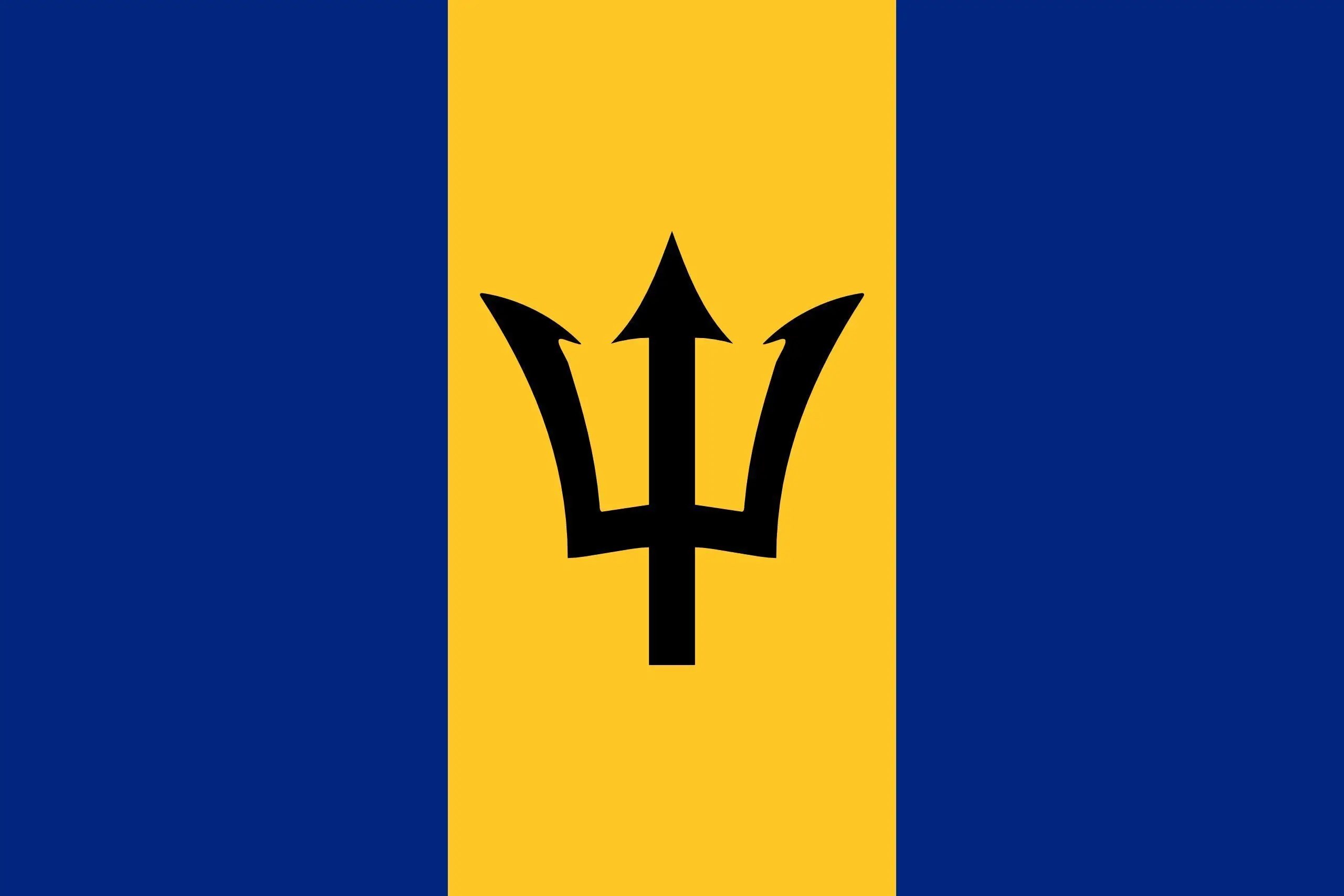 

ELECTION 90x150cm Barbados flag for decoration