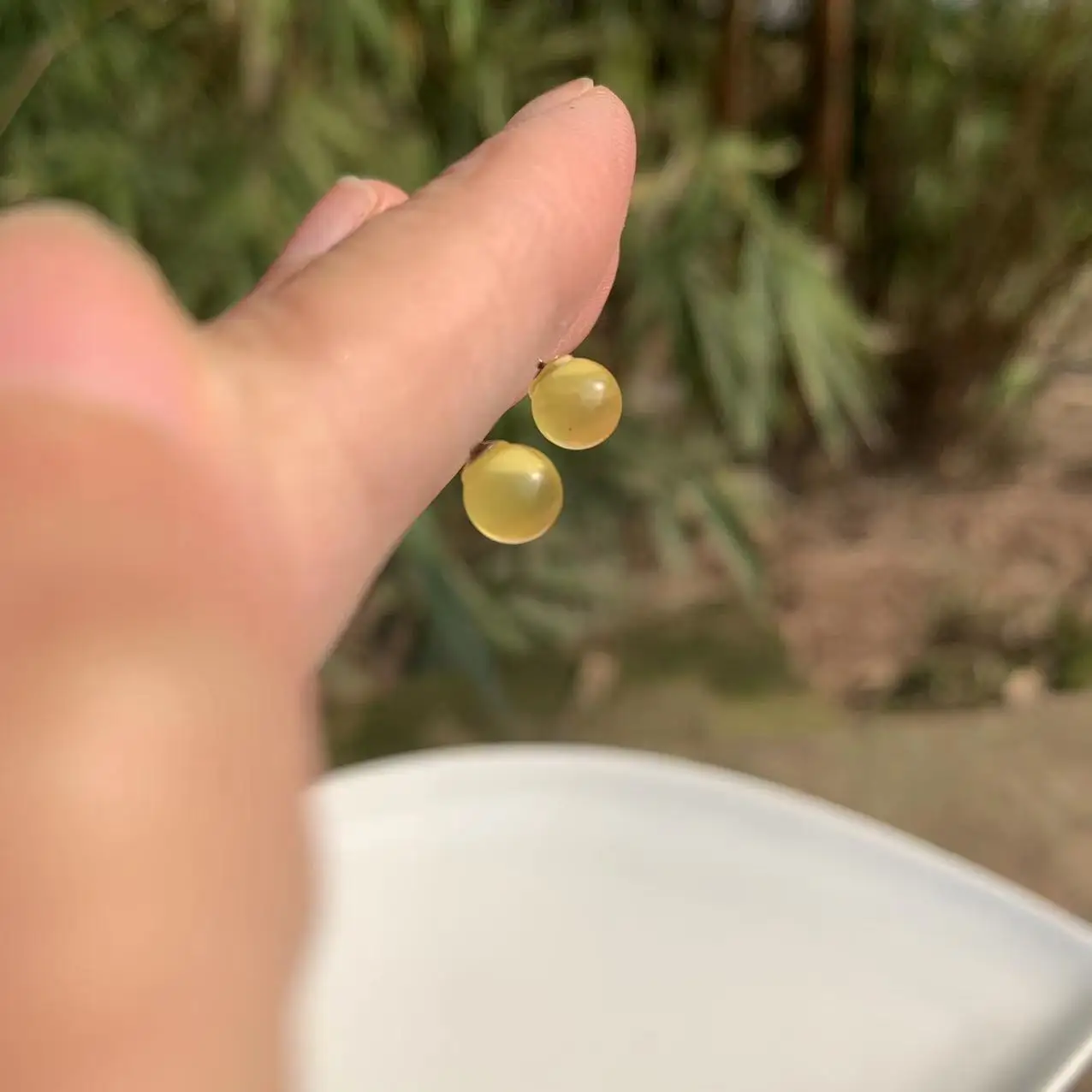 100% натуральный янтарь серьги-гвоздики из стерлингового серебра 925 пробы для