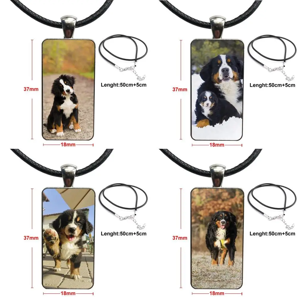 Для женщин вечевечерние Бернер сенен собака Бернская Гора бренд стальной цвет