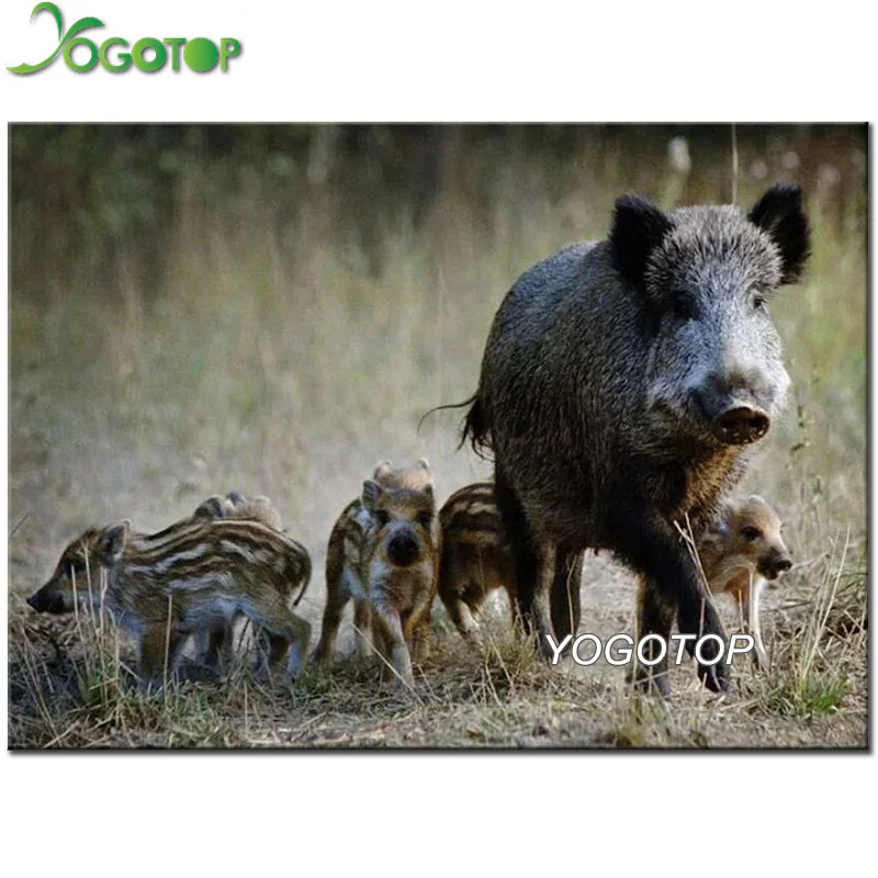 

5D Diamond Painting Wild boar family 5D Square round Rhinestones Photo custom Diamond Embroidery Mosaic Handmade YY2417