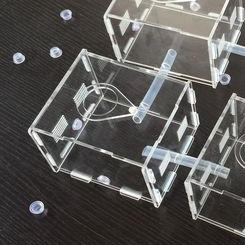 120*100*80 мм площадь действия муравьев акриловая муравьиная ферма прозрачный