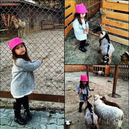 Шляпа-трилби с короткими полями для девочек и мальчиков | Детская одежда обувь