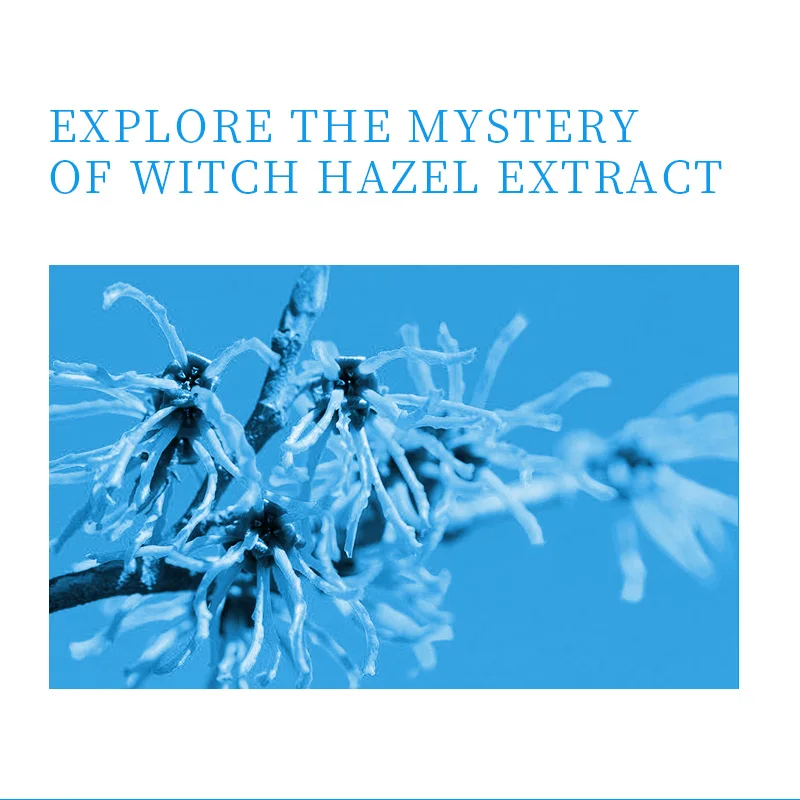 WIS глубокий увлажняющий лосьон для контроля жирности Сужающий поры освежающий