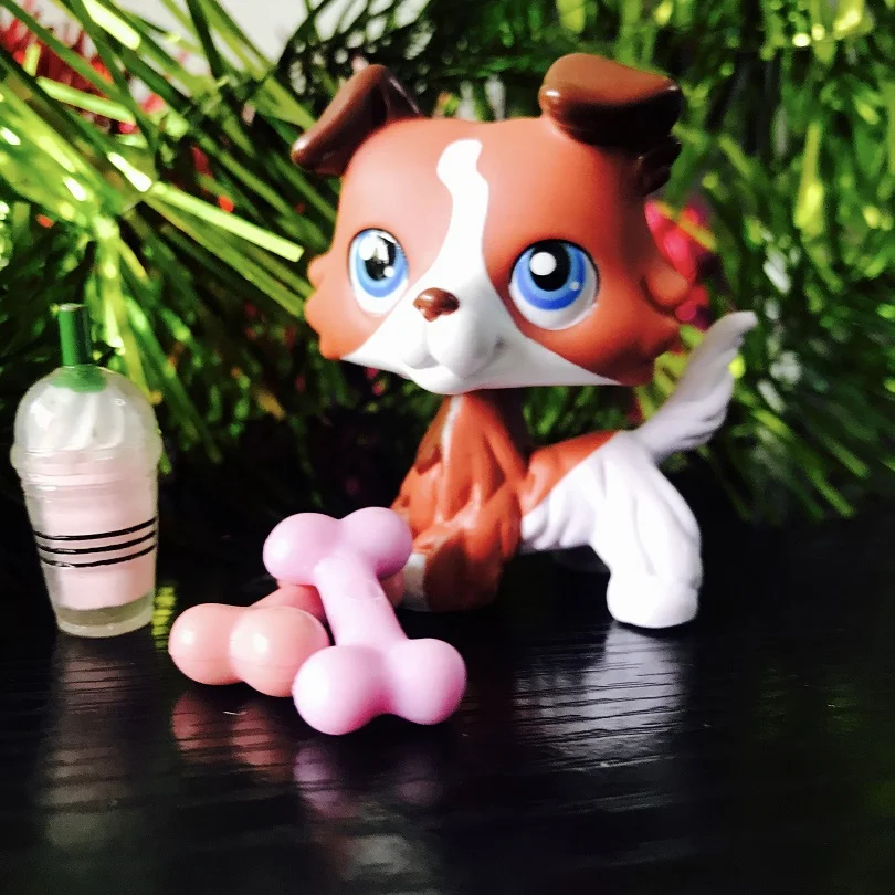 Pet Shop супер кофейная собака колли прозрачная шея с аксессуарами Коллекционные