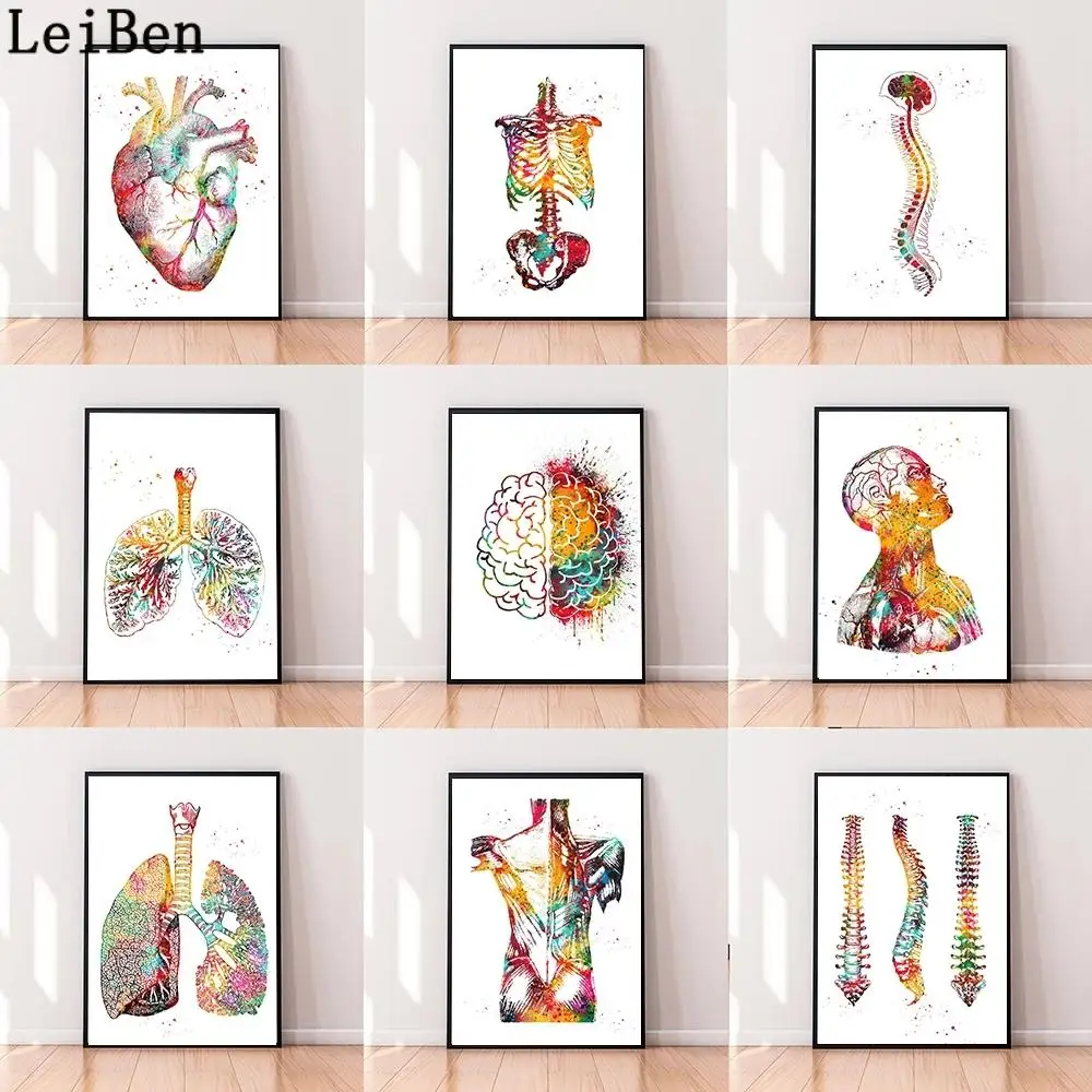 

Human Anatomy Muscular System Canvas Painting Medical Education Poster Skeleton Bone Wall Art Print Picture Doctor Office Decor