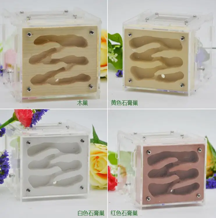 Plaster Ant Nest Acrylic Farm Ants Queen House Insect Cage Anthills Pet Granja De Hormiga Hormiguero Antfarm | Игрушки и хобби