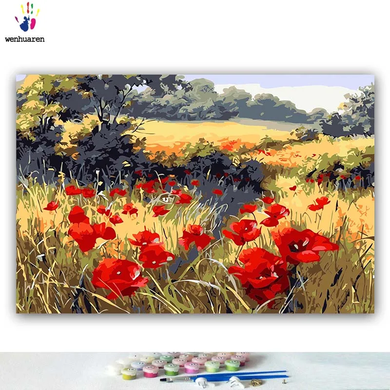 DIY картинки для раскраски по номерам с красными цветами Поппи полевыми рисунками