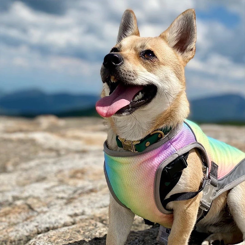 

dog cooling vest dog vest french bulldog pet clothes yorkshire puppy clothes dog cooling Jacket dogs clothes pets
