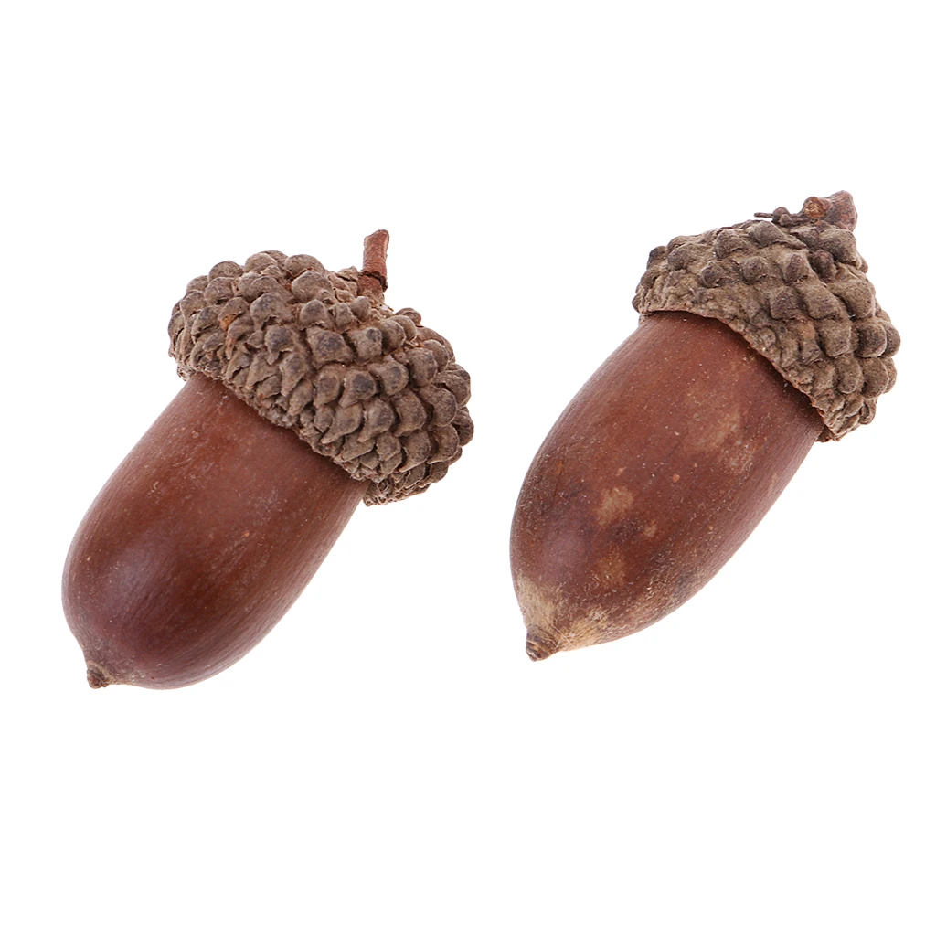 20 шт. натуральные мини желуди засушенные цветы Рождество акценты дома украшение