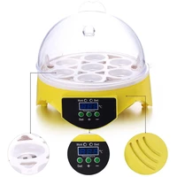 brooder digital temperature control egg incubator hatcher for chicken bird mini 7 egg poultry egg incubator fully automatic