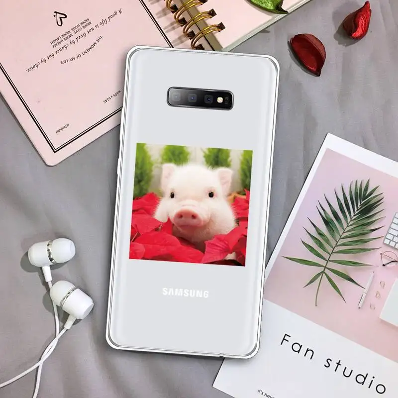 

Pet pig Cute Cartoon Phone Case Transparent For Samsung Galaxy A 71 21s S note 8 9 10 plus 20 ultra