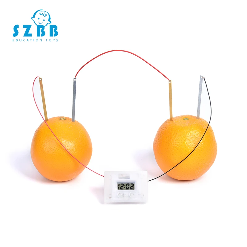 SZ паровые часы картофель электрохимический клеточный эксперимент Материал