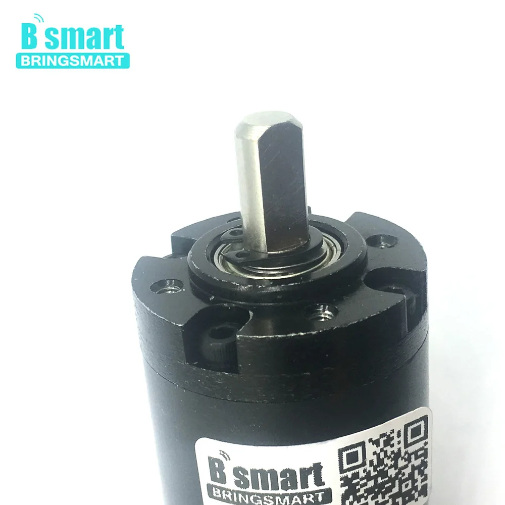 Bringsmart Электрический мини мотор редуктор 12 В низкая скорость постоянный ток